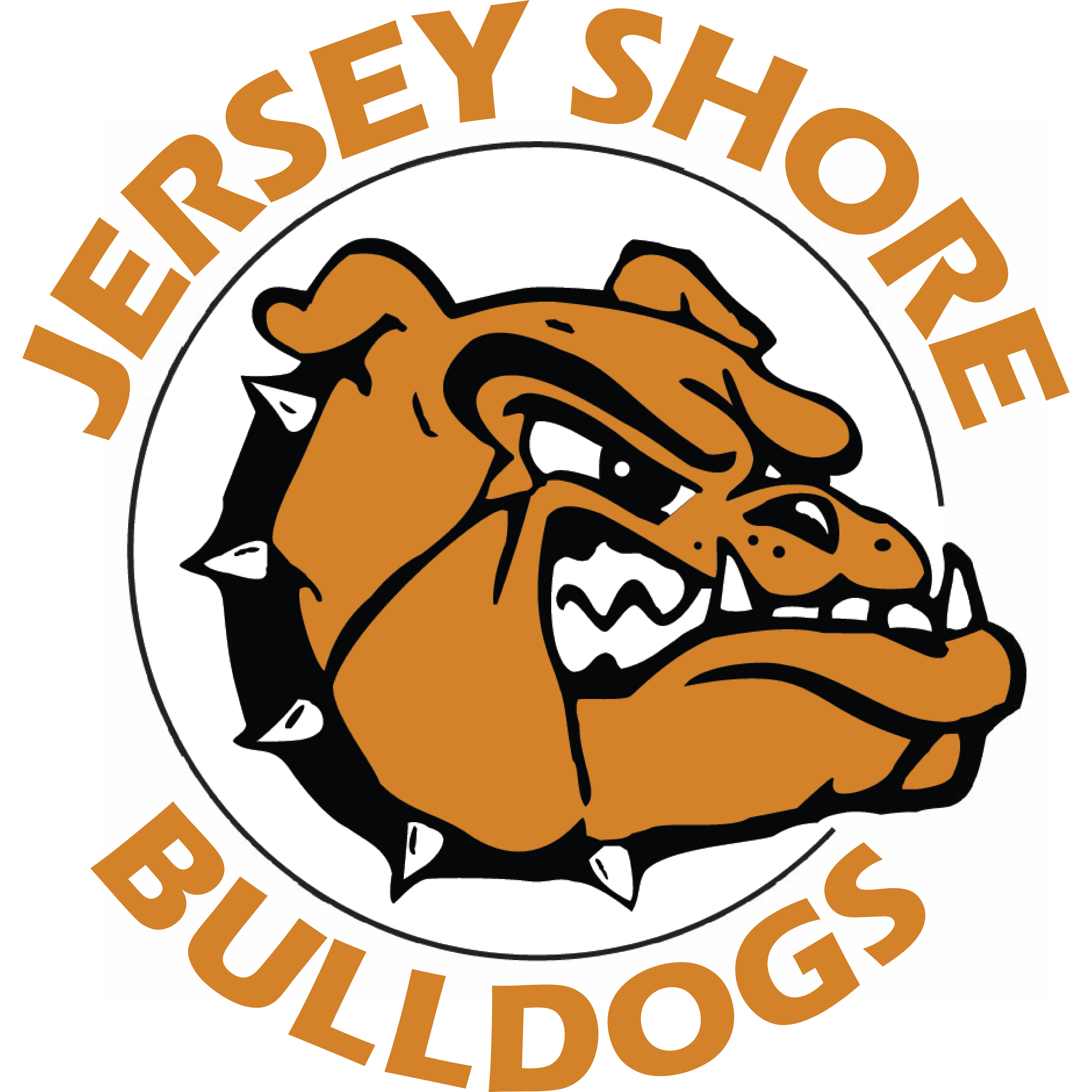 Jersey Shore Area School District
